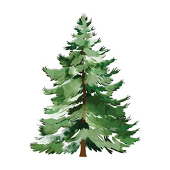 Fototapeta premium Green watercolor decorative christmas tree vector illustration.