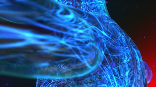 The lymphatic system illustration