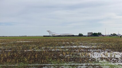 Fototapeta premium Selangor, Malaysia July 22 2023 - Landscape view of the plane in the middle of the paddy field