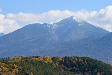 Fototapeta premium 富良野の紅葉風景