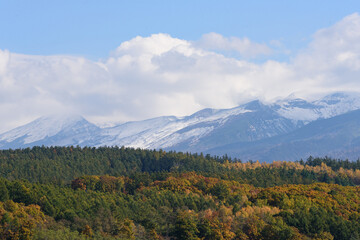 富良野の紅葉風景