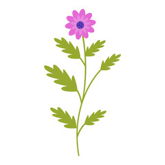 Spring Flower with Flat Cartoon Design. Vector Illustration on White Background.
