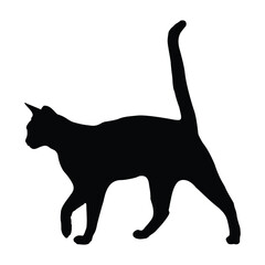 Hand drawing Cat illustration Design