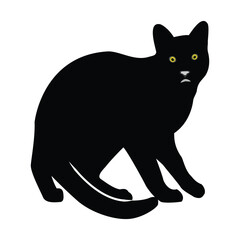 Hand drawing Cat illustration Design