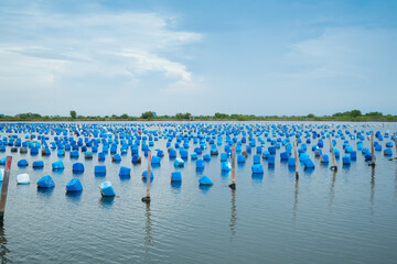Naklejka premium Floating buoy or Pontoons .Snail Sculpts Bubbles to make life raft on the ocean or lake. snail farm will allow you to perfectly control the environmental conditions .
