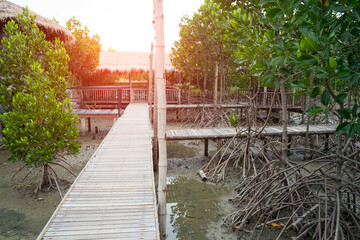 Wooden bridge to reach in to the lake with floating buoy of snail farm.