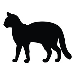 Hand drawing Cat illustration Design