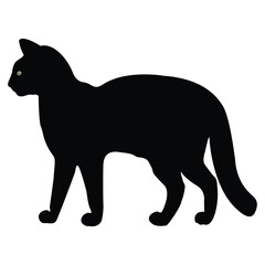 Hand drawing Cat illustration Design