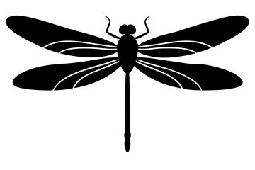 Create a minimal dragonfly silhouette vector illustration in black on a white background with a simple elegant design
