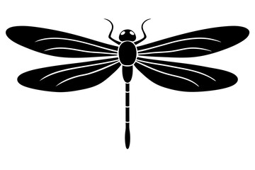 Create a minimal dragonfly silhouette vector illustration in black on a white background with a simple elegant design