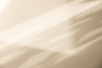 Obraz premium Studio style background wall decoration presentation uses white and beige tones. with shadows cast from a nearby window, concept creating a decorative backdrop.