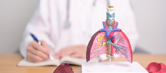 Doctor with Smoker and normal Lung anatomy for Disease. Lung Cancer, Asthma, Chronic Obstructive Pulmonary or COPD, Bronchitis, Emphysema, Cystic Fibrosis, Bronchiectasis, Pneumonia and world Lung day