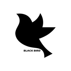 Web LINE MODERN COLOR FULL LOGO DESIGN