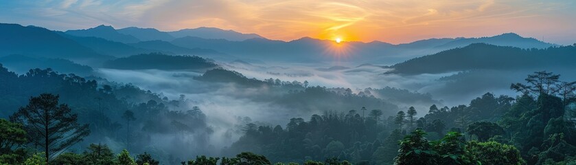 Obraz premium Stunning Sunrise Over Misty Mountain Range with Lush Green Forest and Serene Sky