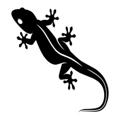 Silhouette of a lizard vector on white background