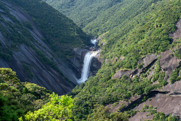 屋久島の千尋の滝