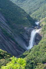 屋久島の千尋の滝