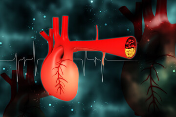 3d rendered human heart isolated on white background