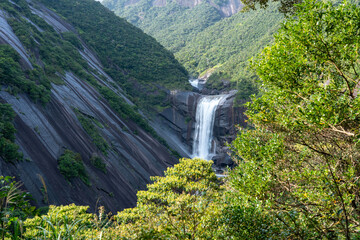 屋久島の千尋の滝