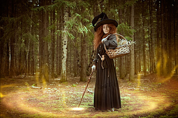 healer collects herbs