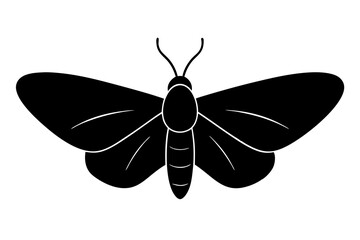 Intricate vector illustration of a moth in black silhouette on white background perfect for nature-inspired designs