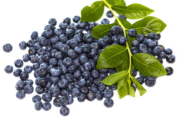 Close-up and top angle view of stacked raw blueberry fruits and leaves on white floor, South Korea
