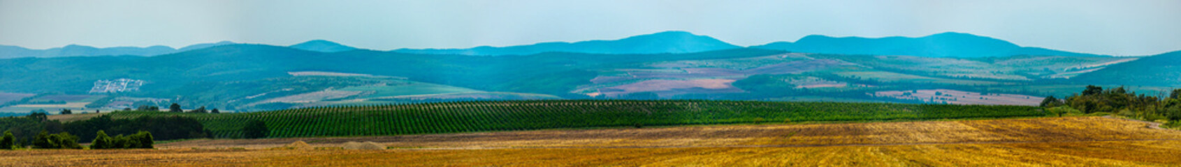 wide panorama of a field of mown wheat and a large green vineyard in the foothills of the Western Caucasus on a sunny summer day