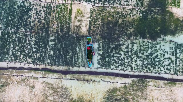 Aerial view of Seaweed Farms in Nusa Lembongan, Bali, Indonesia