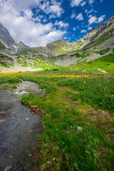 Summer landscape of the mountain valley with blooming flowers. The Velicka Valley, Tatra Mountains, Slovakia.