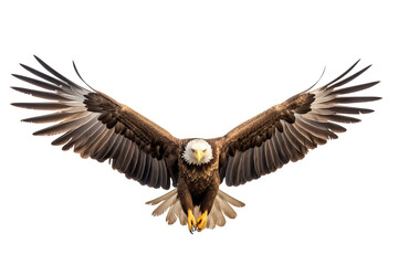 Obraz premium American bald eagle in majestic flight with wings spread wide, isolated on a transparent background, ideal for patriotic, wildlife, and nature-themed projects and designs.