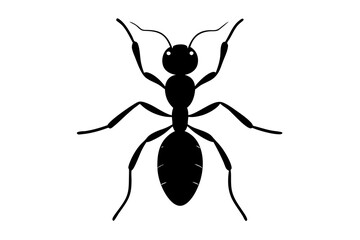 Modern vector illustration of ants black silhouette on white background with a stylish and clean look