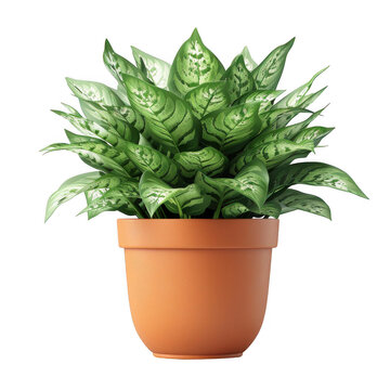 Vibrant green potted plant in a terracotta pot, perfect for home or office decoration, adding a touch of nature to any space.