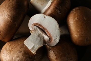 Mushrooms, concept of autumn food, autumn harvest