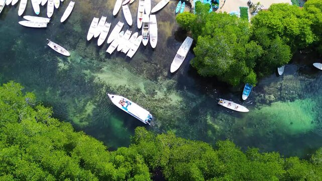Aerial view of Mangrove forest in Jungutbatu, Nusa Lembongan, Bali, Indonesia