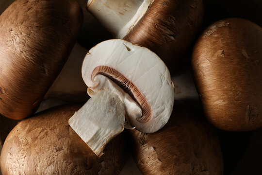 Mushrooms, concept of autumn food, autumn harvest