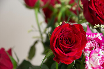 赤い薔薇