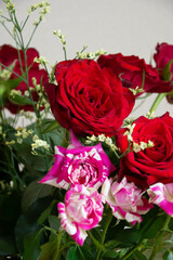 カラフルな薔薇