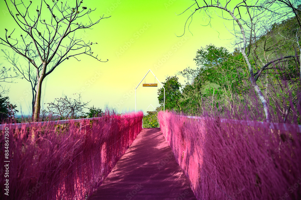 Poster Pink walkway on the mountain