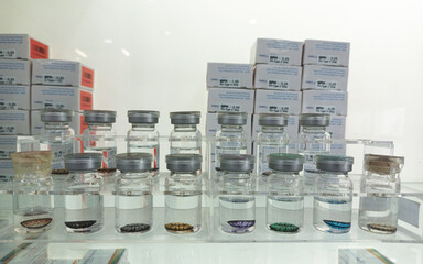 There are various kinds of color contact lenses on display.
