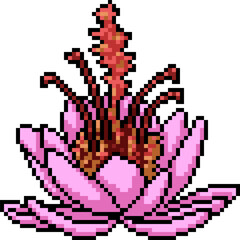 Fototapeta premium pixel art of pink flower bloom