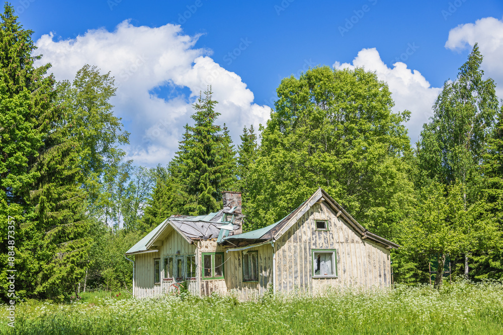 Canvas Prints Old ruined cottage in a meadow by the forest