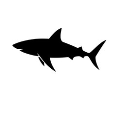 shark silhouette vector illustration isolated