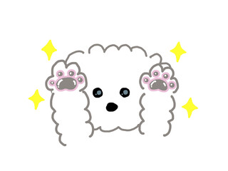 肉球が保湿されぷくぷく健康な犬