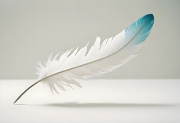 single feather suspended in mid-air, casting a shadow on a white surface, minimalistic design