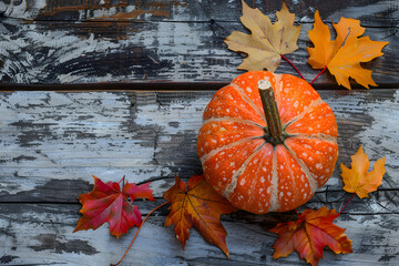 Pumpkin and autumn leaves on weathered wood