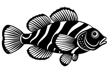  Cute Mandarin Fish silhouette black linocut vector illustration