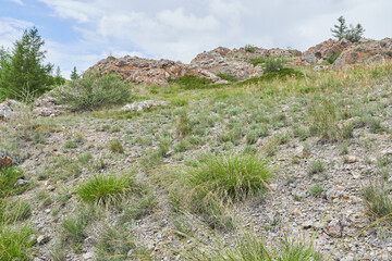 Rocky hillside with green grass and blue sky in the background