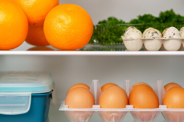 Well-Stocked Refrigerator With Fresh Produce, Eggs, and Other Groceries