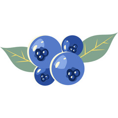 Blueberry Fruit Illustration