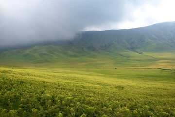 Beautiful natural scenery of the savanna around Mount Bromo Indonesia